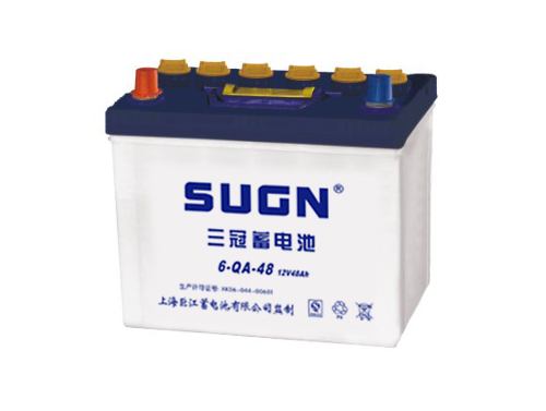 12V 48Ah Lead-Acid Battery