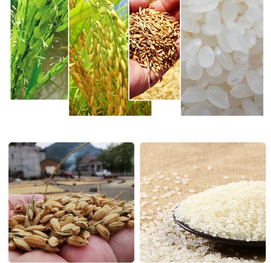 600kg-1000kg rice mill machine - Image 2