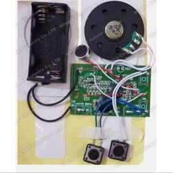 60-Second Recordable Sound Module