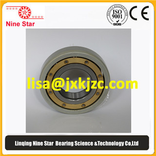 Insulated Deep Groove Ball Bearing 45x100x25mm