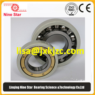 Insulated Deep Groove Ball Bearing