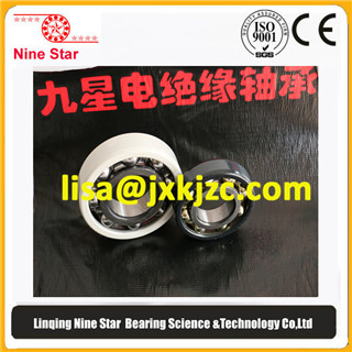 Insulated Deep Groove Ball Bearing for Electric Motors