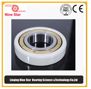 Insulated Deep Groove Ball Bearing