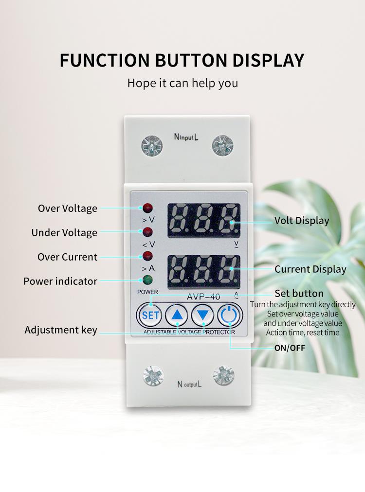 Function button and display diagram