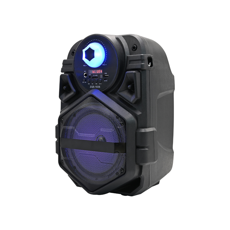 6.5-Inch Portable Bluetooth DJ Speaker