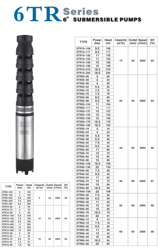 6-Inch Submersible Water Pump