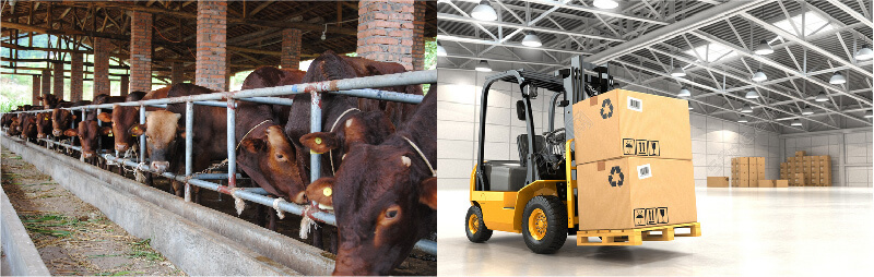 Forklift and Warehouse Application