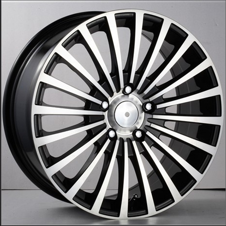 Multi-Spoke Alloy Wheel