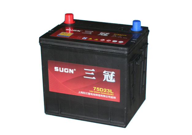 12V Automotive Battery, 65Ah, 520A (SAE)