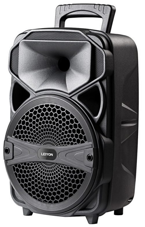 8-Inch Portable Bluetooth Speaker