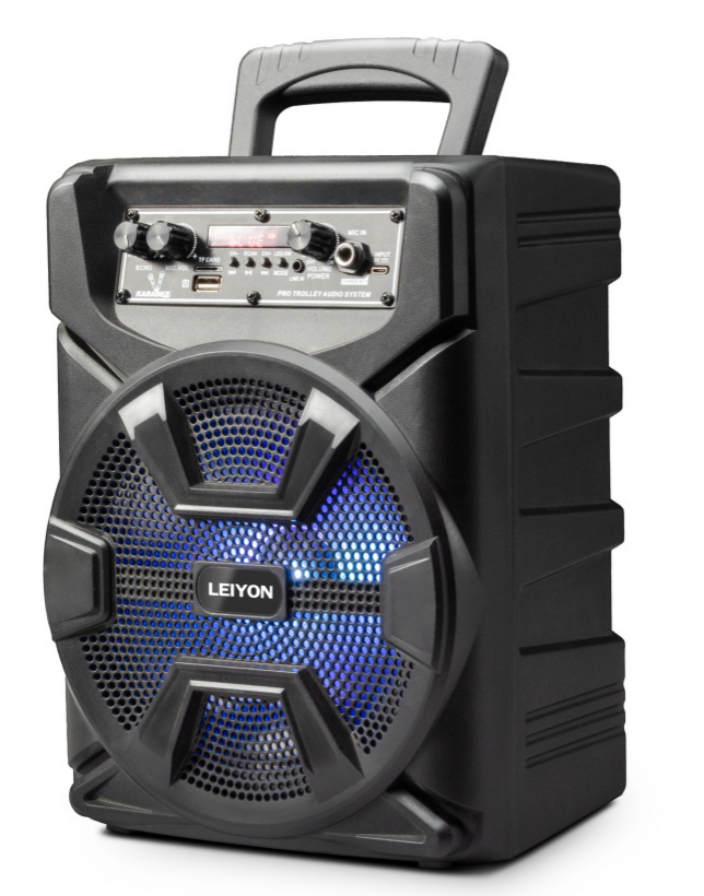 8-Inch Portable Bluetooth Speaker with Karaoke Features