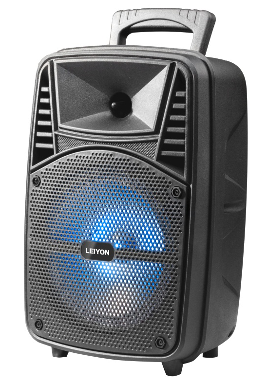 8-Inch Portable Bluetooth Speaker with LED Lighting