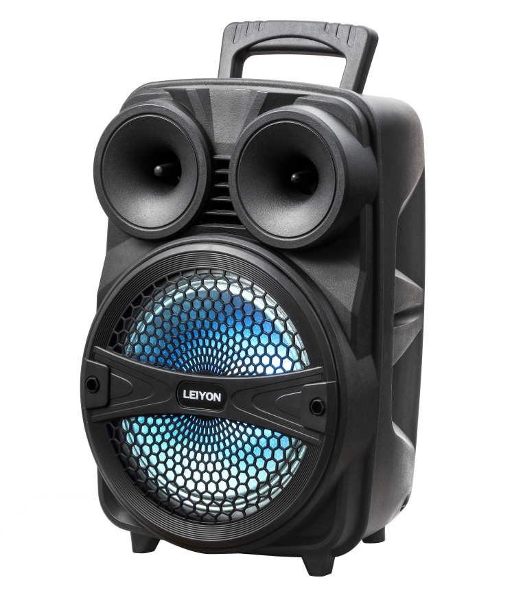 8-Inch Portable Bluetooth Speaker with LED Lighting