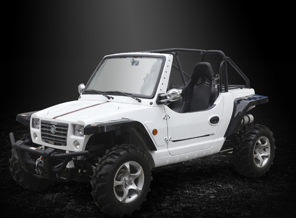 800cc 4x4 Utility Task Vehicle (UTV)