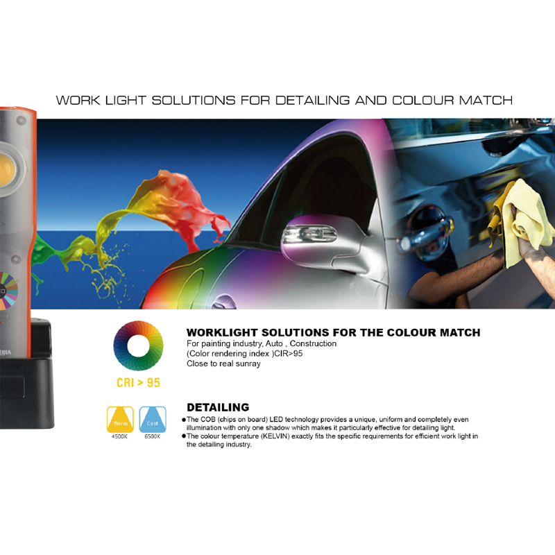 800 Lumen Color Match Detailing Light