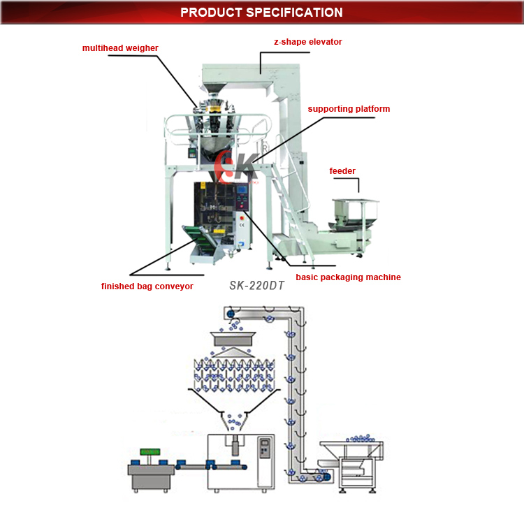 Full SK-220DT Packaging System Layout