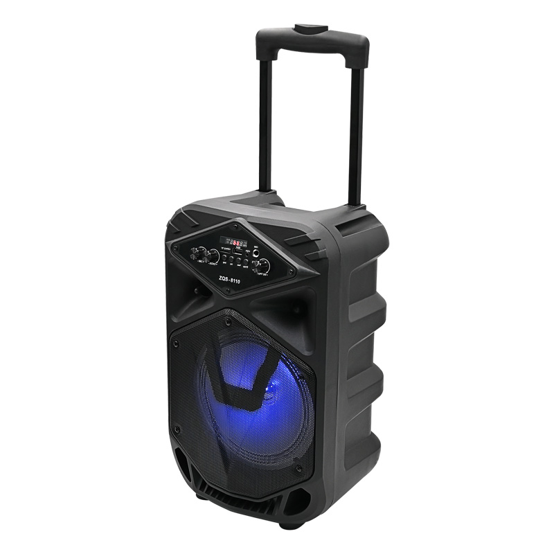 Portable Trolley Speaker with Microphone