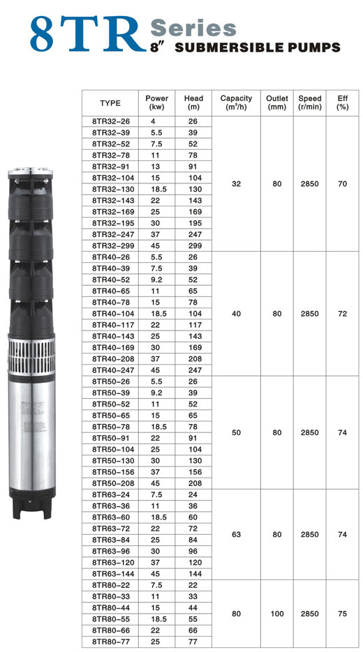 8-Inch Submersible Pump