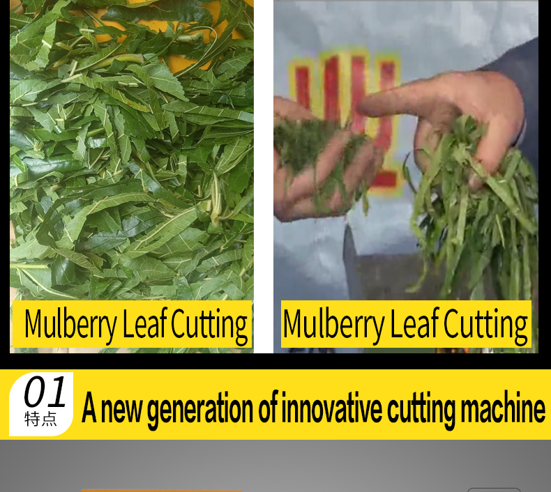 Mulberry leaf cutting machine