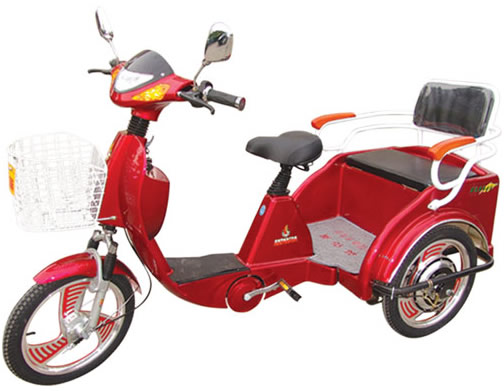 Electric Personal Transport Tricycle