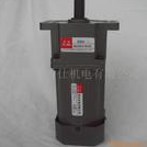 Miniature Electric Gear Motor