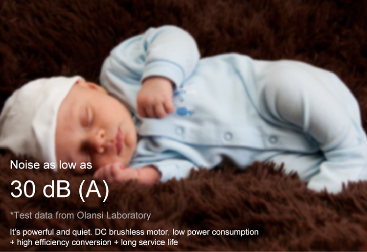 DC Brushless Motor and noise levels
