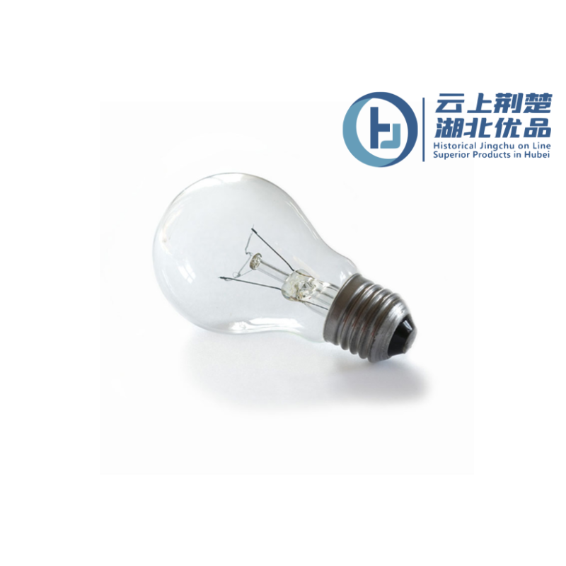 A19 Frosted Incandescent Light Bulb