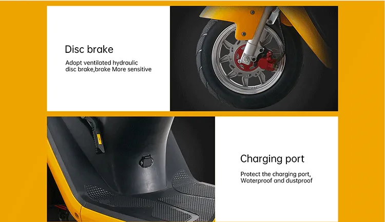 Hydraulic disc brake and protected charging port