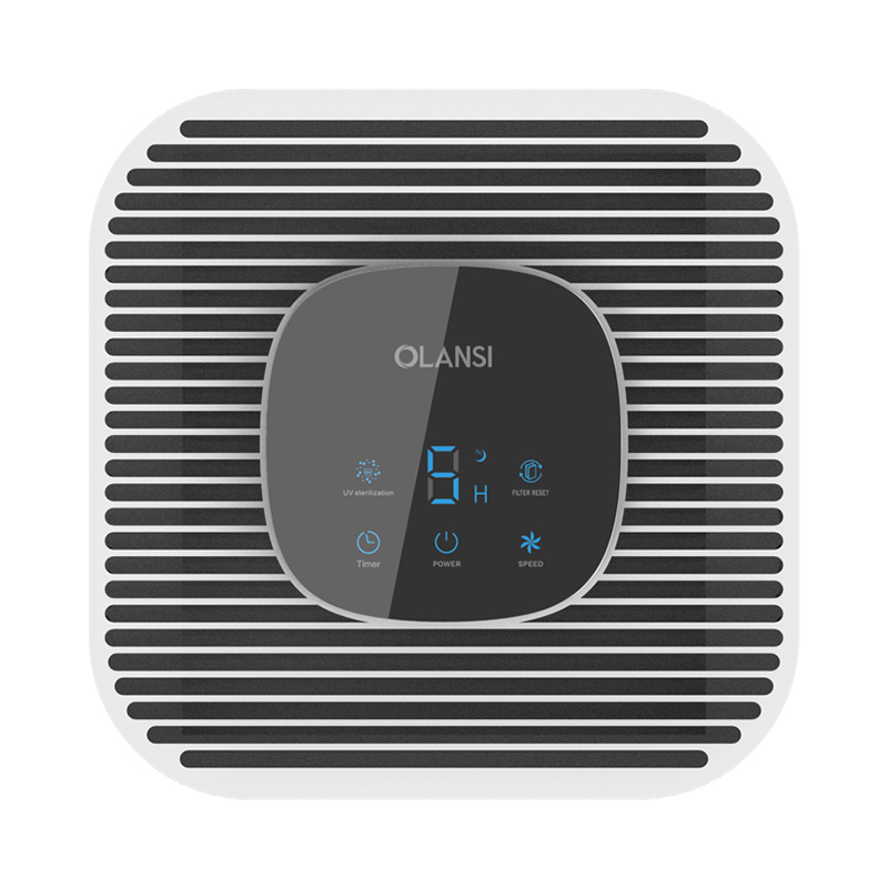 HEPA Air Purifier with Three-Stage Filtration