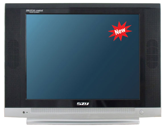 Digital Multi-System Television