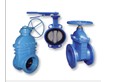 Industrial Gate and Butterfly Valves