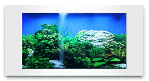 Integrated Filtration Aquarium with Aquatic Decor