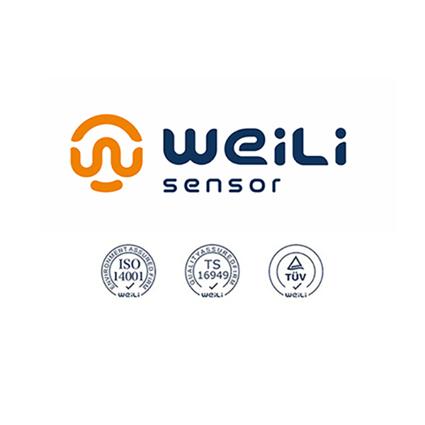 ABS Wheel Speed Sensor for European Vehicles