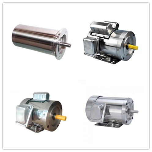 AC Stainless Steel Gear Motor for Submersible Use