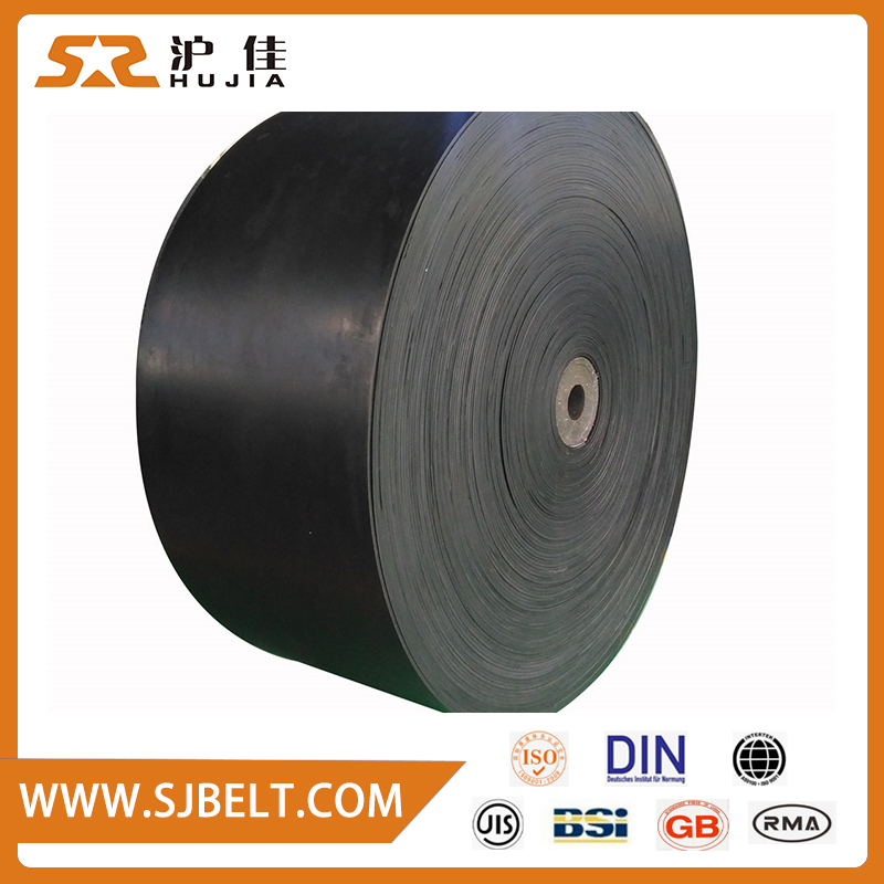 Acid-alkaline Resistant Conveyor Belt - Image 2
