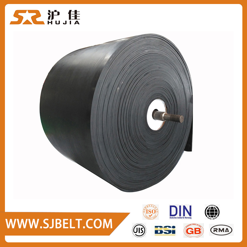 Acid and Alkali Resistant Conveyor Belt
