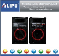Active 2.0 Stage Speaker