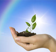 Climate Control System for Agriculture
