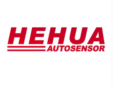 Automotive Sensor Set (Air Flow, ABS, Crankshaft, Camshaft)