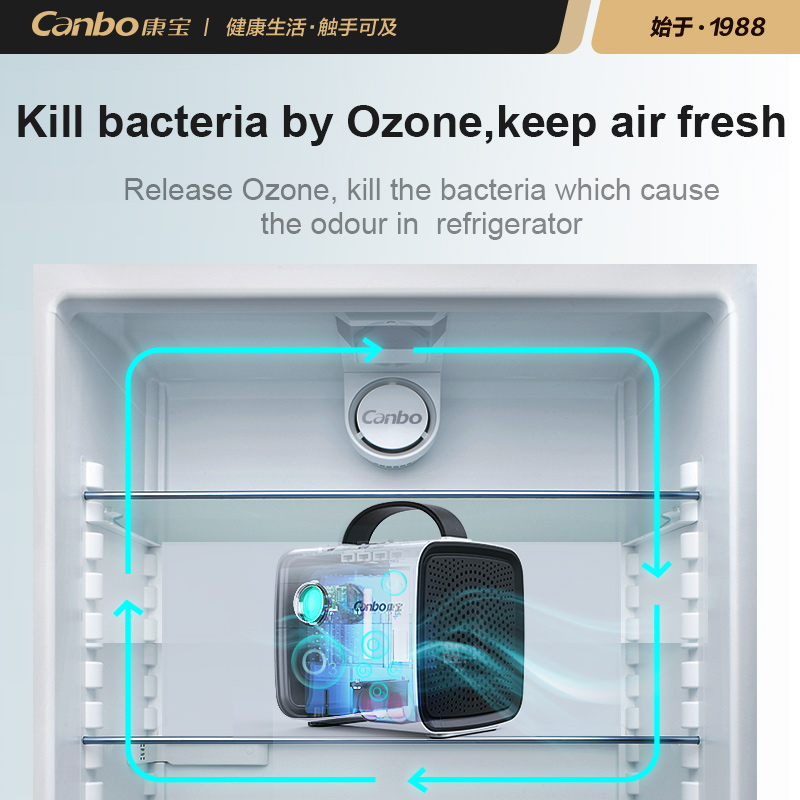 Compact Air Purifier