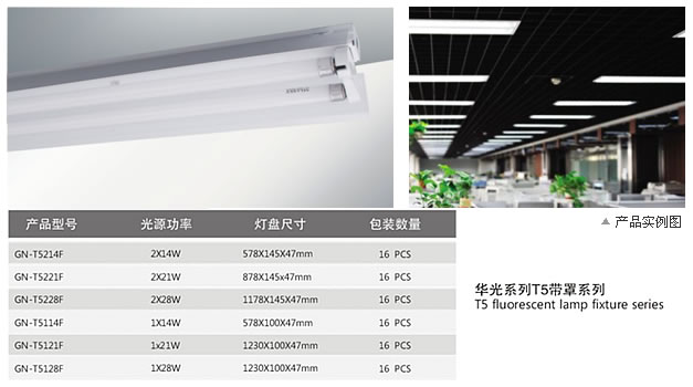 T5 Fluorescent Lamp Fixture
