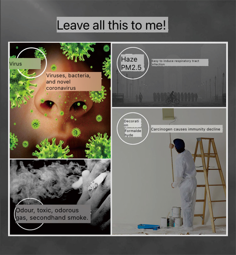 Pollutants removed by the air purifier