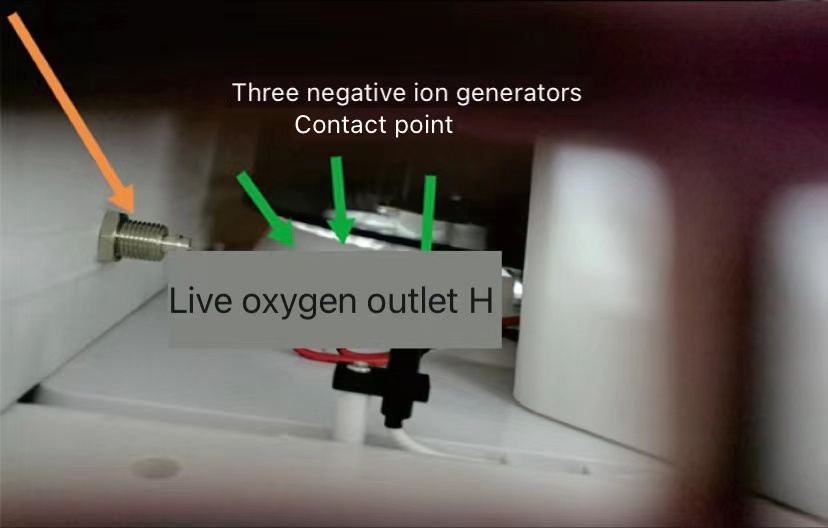 Internal components showing anion generators and oxygen outlet