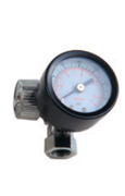 Pneumatic Air Regulator and Filter