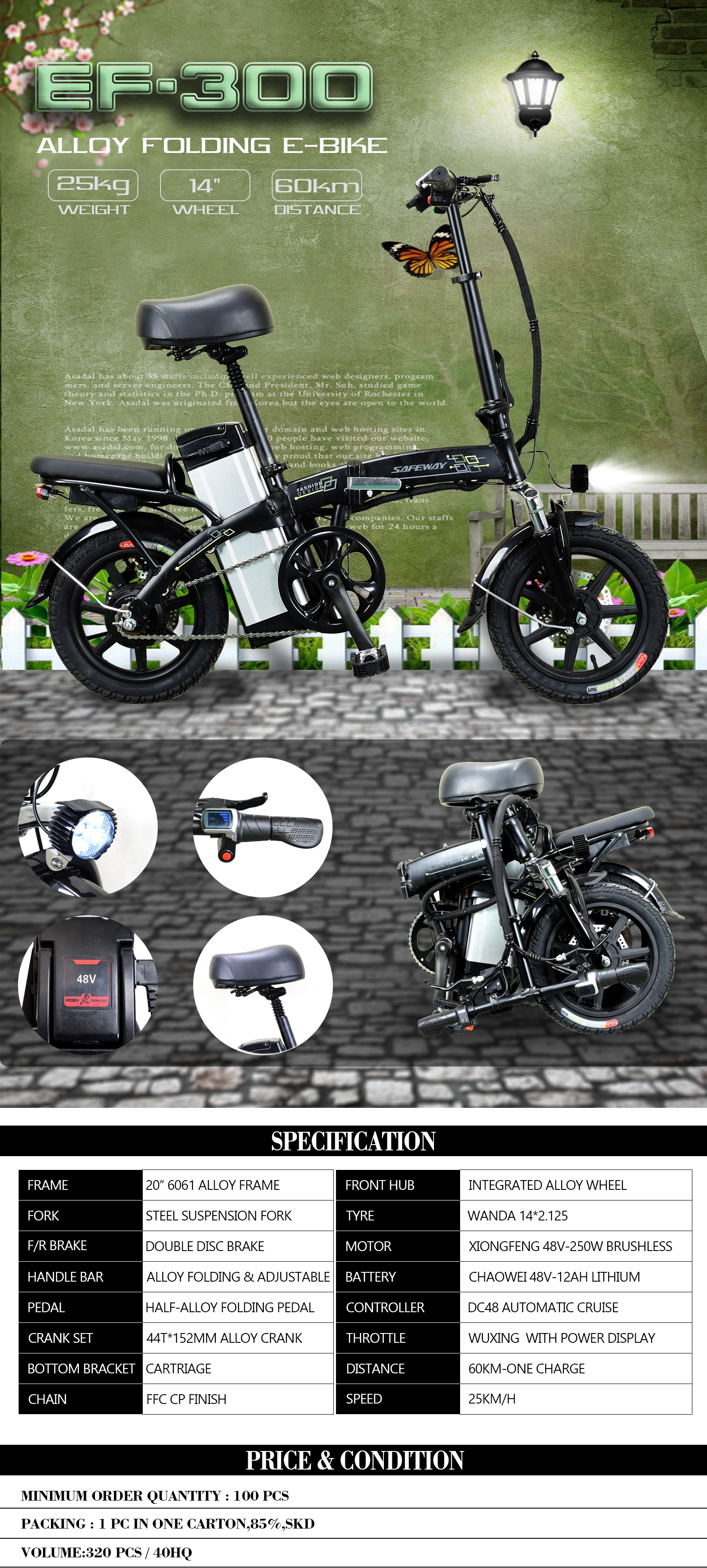 Alloy Folding Electric Bicycle