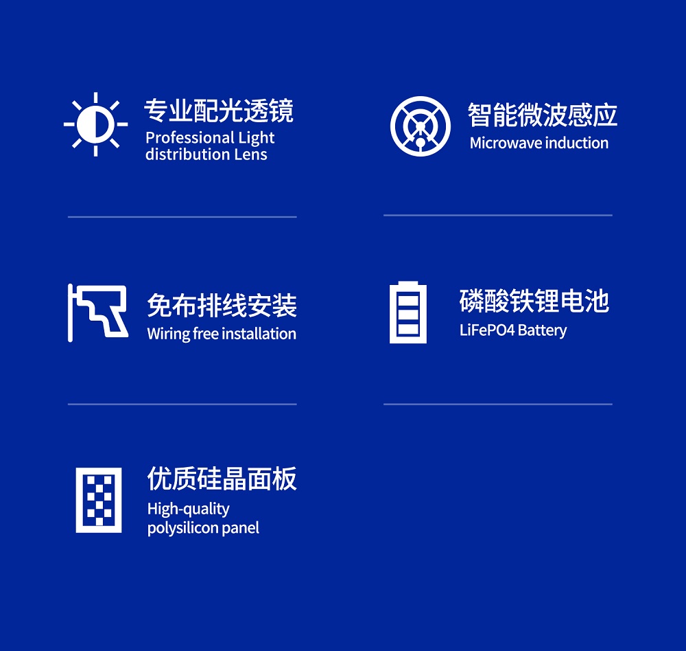 Internal components of the solar street light