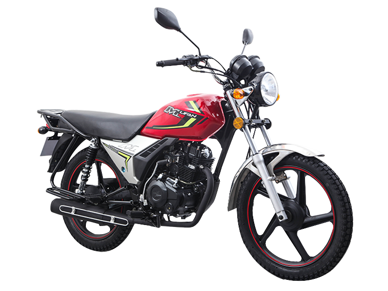 AMAZING 150 (LF150-2C(IV)) LIFAN Street Bike - Image 3