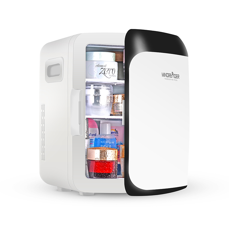 Amazon Hot 10L DC 12V AC 110V 230V Mini Fridge Custom Mobile Home Cold Drink Mini Refriger - Image 3