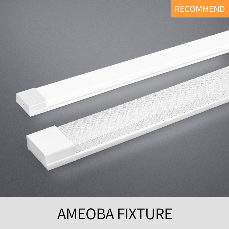 AMEOBA Fixture - Image 2