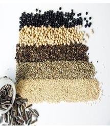Seed and Grain Analysis Instrument